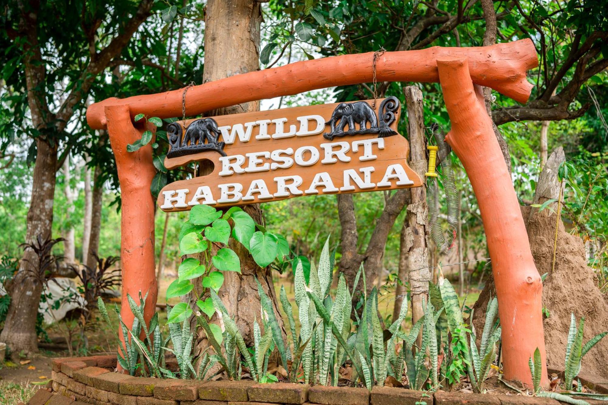 Wild Hut Habarana Panzió Kültér fotó