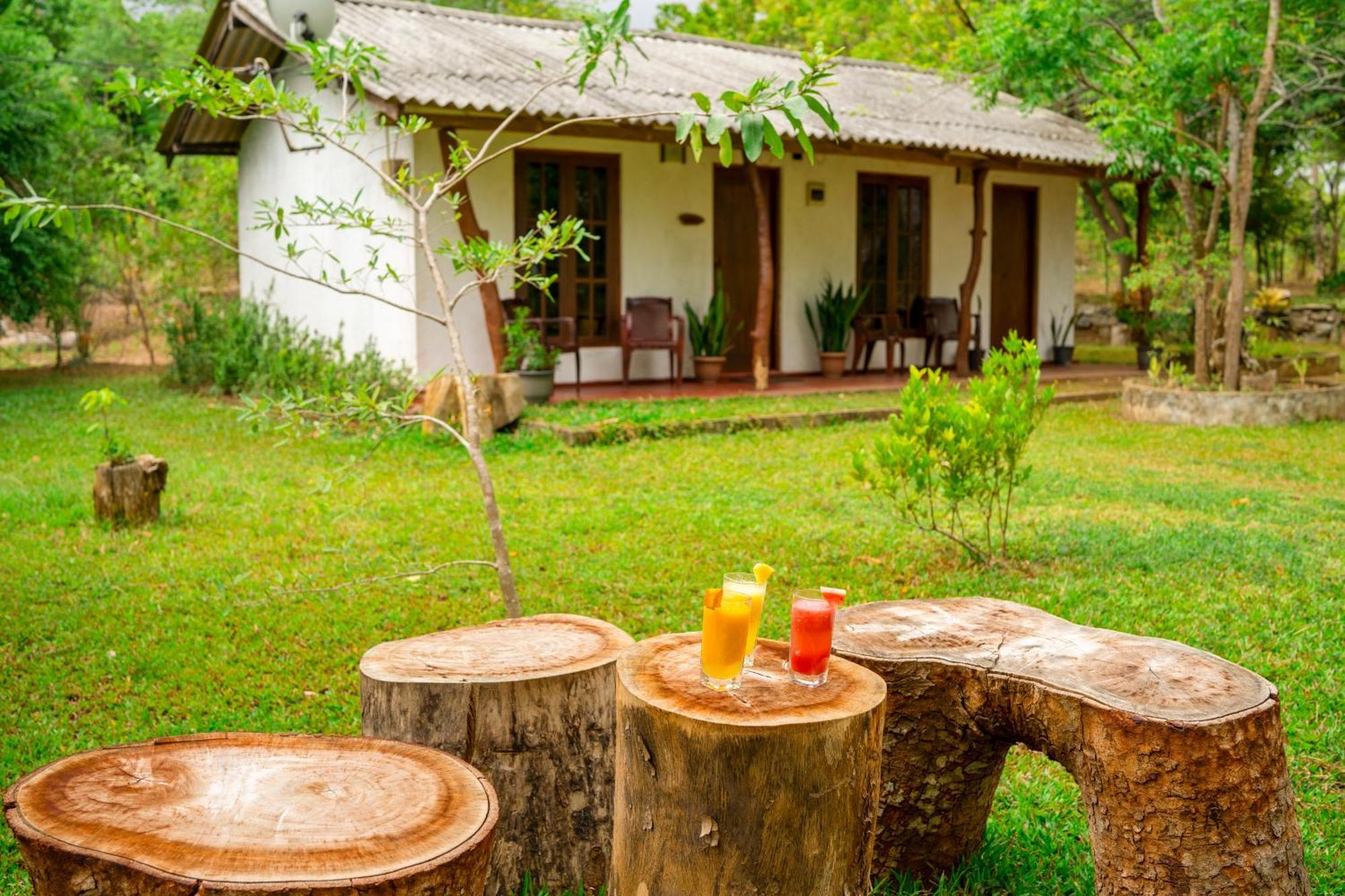 Wild Hut Habarana Panzió Kültér fotó